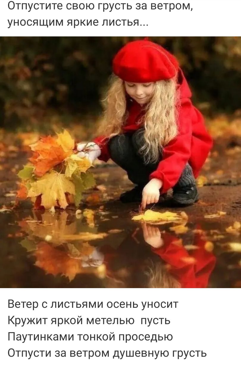Отпустите СВОЮ ГРУСТЬ ЗЭ ВЗТРОМ УНОСЯЩИМ яркие ЛИСТЬЯ Ветер с листьями осень уносит Кружит яркой метелью пусть Паутинками тонкой проседью Отпусти за ветром душевную грусть