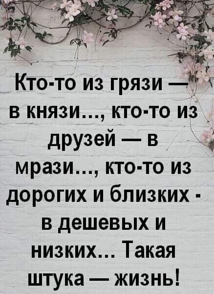 Кто то из грязи в князи кто то из _ друзей в мрази кто то из дорогих и близких в дешевых и низких Такая штука жизнь