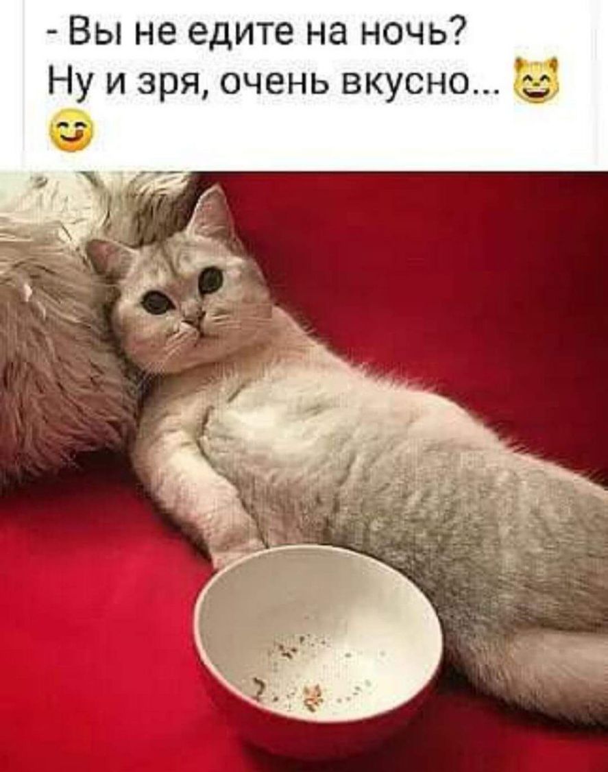 Вы не едите на ночь Ну и зря очень вкусно