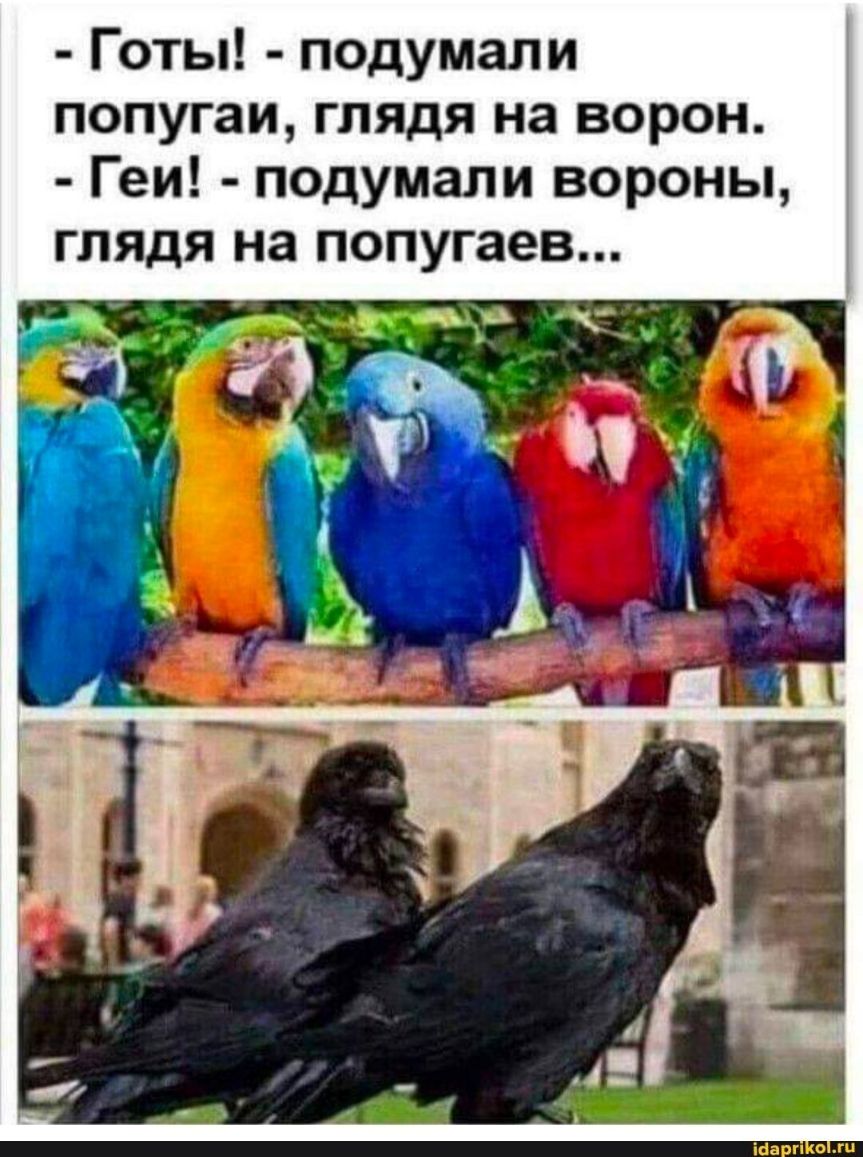 Готы подумали попугаи глядя на ворон Геи подумали вороны глядя на попугаев