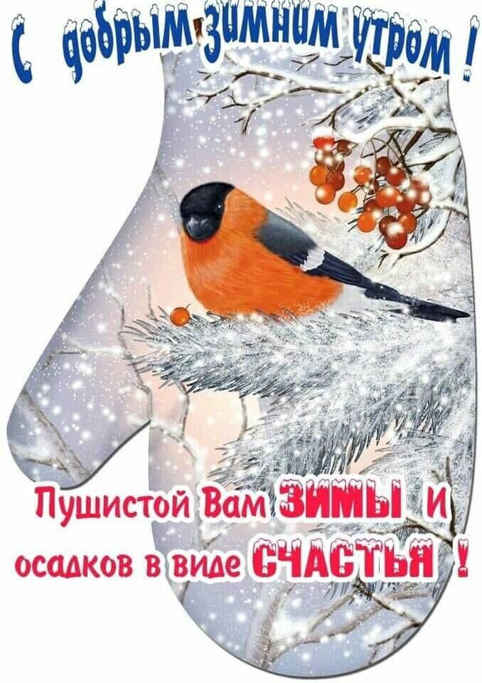 3 ПушистойВам _ осадков вИЁе ЁЧАЁТ г С 33 1
