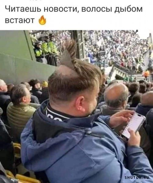 Читаешь новости волосы дыбом встают