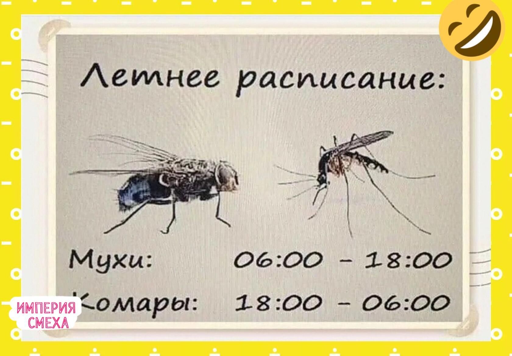 нмт хи10МарЫ2 1800 0600 гц