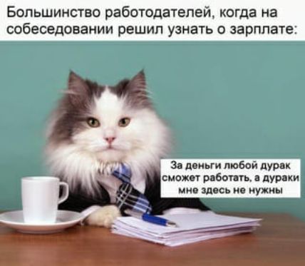 Большинство работодателей когда на собеседовании решил узнать о зарплате 30 до любом ЛУР к см ме дури на о и