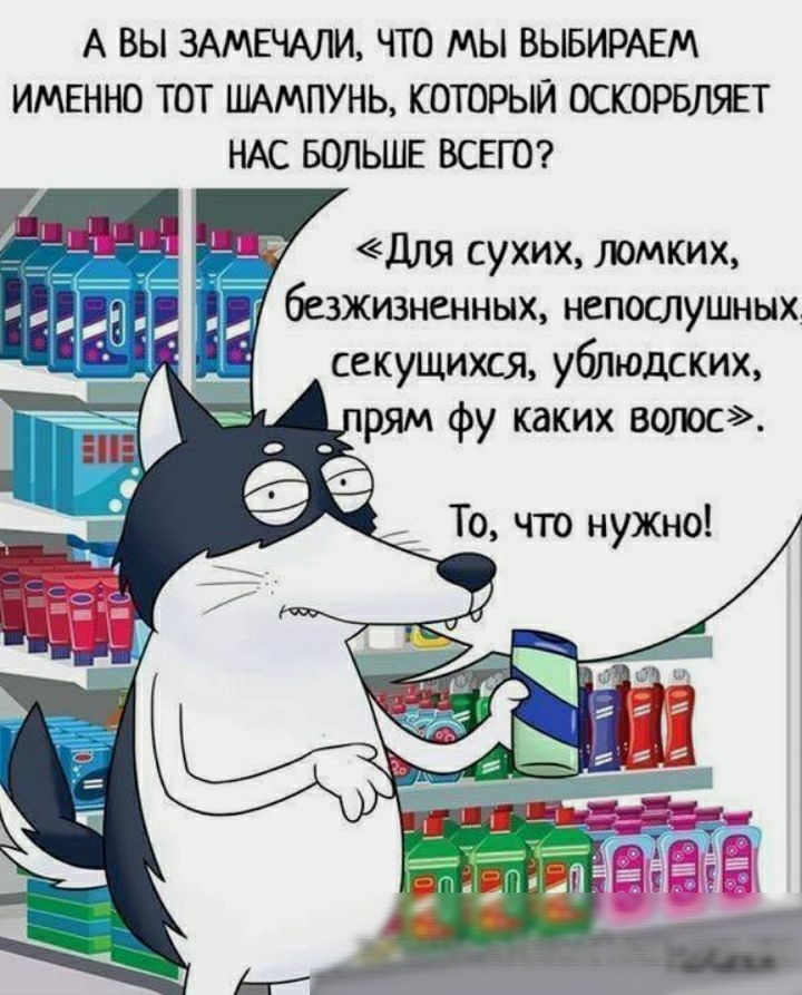 А ВЫ 3АМЕЧАЛИ ЧТО МЫ ВЫБИРАЕМ ИМЕННО ТОТ ШАМПУНЬ КОТОРЫЙ ОСКОРБЛЯЕТ НАС БОЛЬШЕ ВСЕГО Дпя сухих ломких безжизненных непослушных секущихся ублюдских рям фу каких волос
