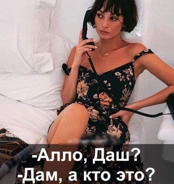 Апло даш дам а кто это
