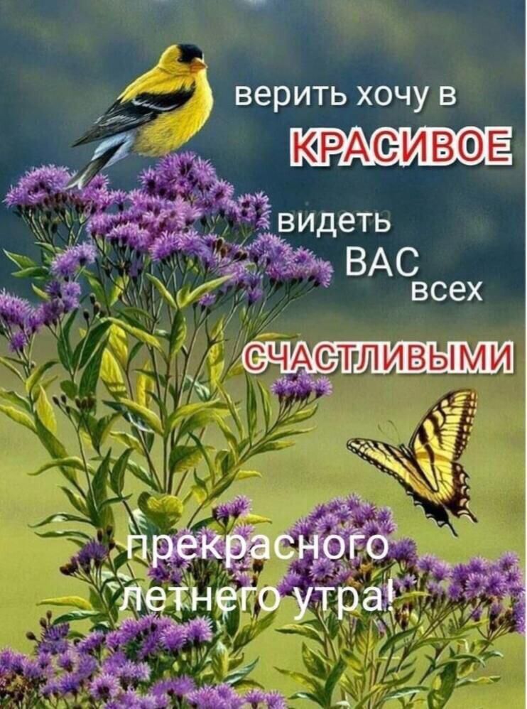 ВЗРИТЬ ХОЧУ В КРАИВЕ видеть ВАсВсех