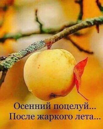 Осенний доцелуй После жаркого лета