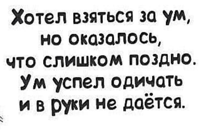 Хотел взяться за ум но оказалось что слишком поздно Ум успел одичоть и в руки не даётся