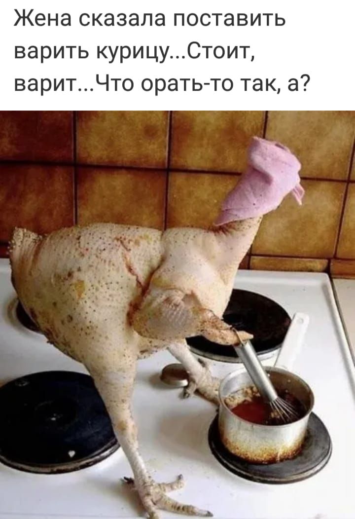 Жена сказала поставить варить курицуСтоит варитЧто орать то так а
