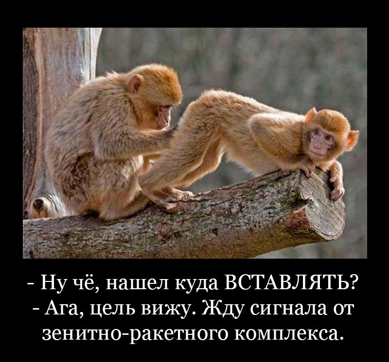 Ну че нашел куда ВСТАВЛЯТЬ Ага цель вижу Жду сигнала от зенитноракетного комплекса