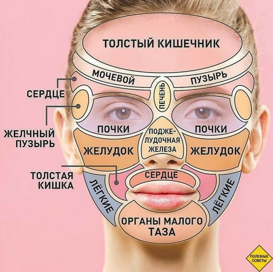 КЕЛЧНЫЙ пузырь ТОЛСТАЯ КИШКА