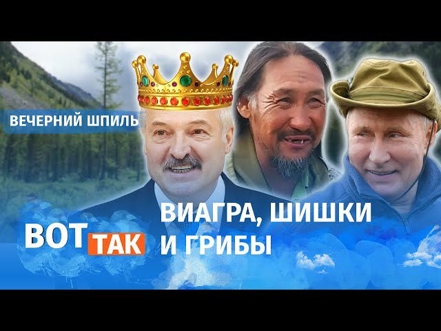 РА шишки ВОТ