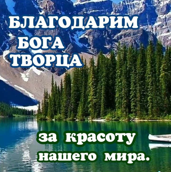 Кна оаееорой вене она в вененел за красоту  нашего мира.