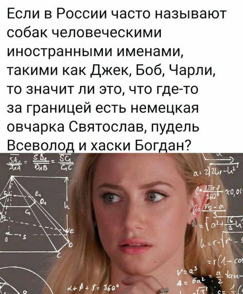 Если в России часто называют собак человеческими иностранными именами такими как Джек Боб Чарли то значит ли это что где то за границей есть немецкая овчарка Святослав пудель Всеволо_ и хаски Бог ан МР до