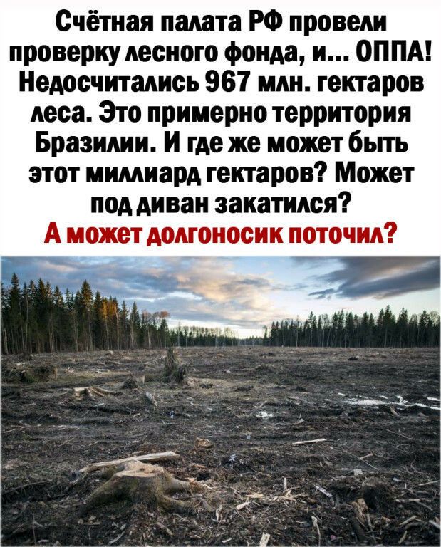 Счётная палата РФ провели проверку лесного фонда и ОППА Недоечитались 967 млн гектаров леса Это примерно территория Бразилии И где же может быть этот мимиард гектаров Может под диван закатидся А может долгоиосик поточид