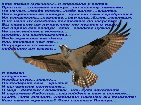 Кто такие мужчины и спросила у ветра просто сильные птицы по полету заметно п нач м коми плохо неба синее сицтсіь Нет мужчины не плвчугп прпсто сие селебритя Их уст ность иеммого ивучилц6ыть жестким и не цао их ыддить постоянно пв Шер ИЦУ Вьі скидки пв им лучще что тс ивжнае вуки ИМ порою кик воздух зто слвдкое Ино Не стесняйтесь моими делать им комплцмвить Ведь мтчииь кк дети или похожие чем тв П