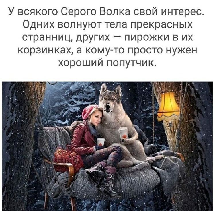 У всякого Серого Волка свой интерес Одних волнуют тела прекрасных странниц других пирожки в их корзинках а кому то просто нужен хороший попутчик