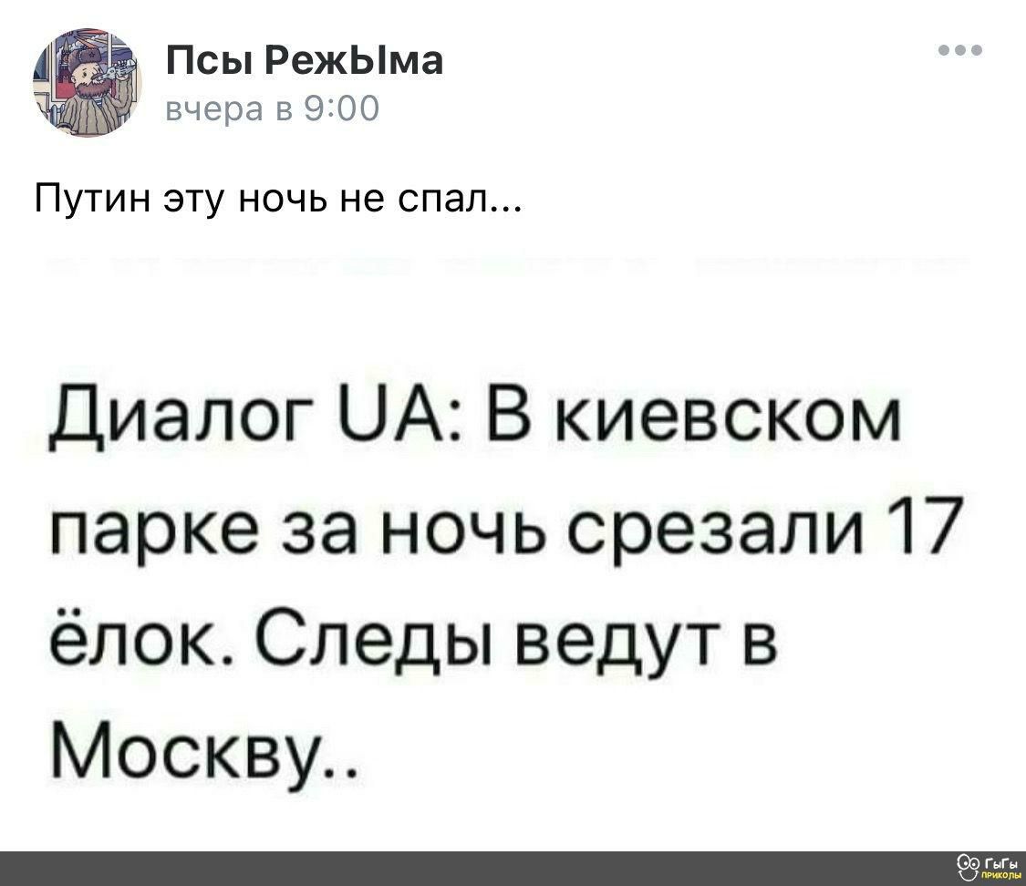 д Псы РежЫма вчера89100 Путин эту ночь не спал Диалог ЦА В киевском парке за ночь срезали 17 ёлок Следы ведут в Москву