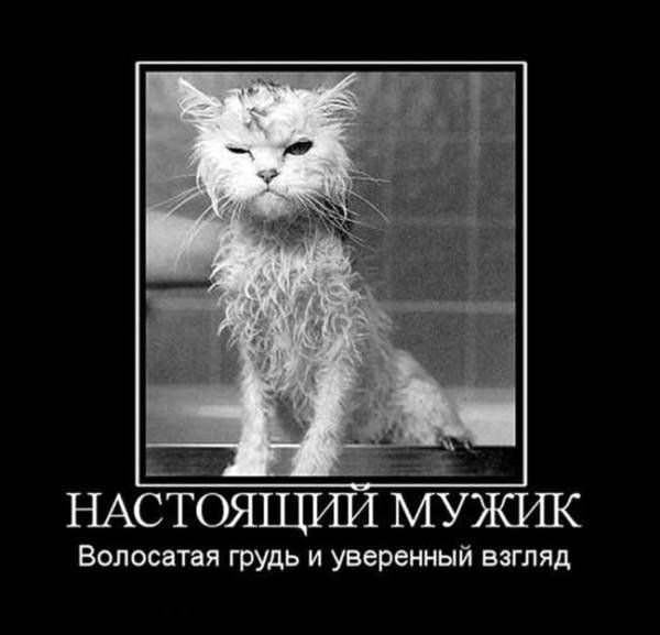 _ НАСТОЯЩРШ МУЖИК Волосатая грудь и уверенный взгляд