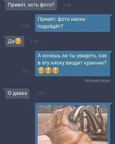 Привет есть Фото 0 О даааа Привег Фет киски подойдёт А хочешь пи чы увидеть как в эту киску входит раичик пп