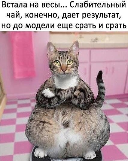 Встала на весы Слабительный чай конечно дает результат но до модели еще срать и срать