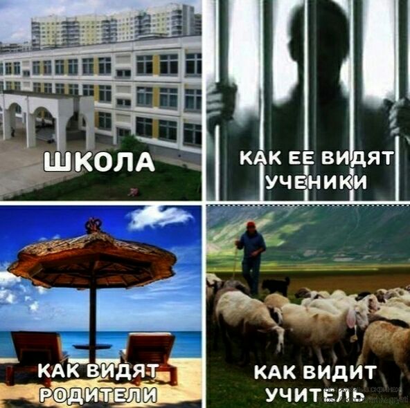 кдквидйт учитель