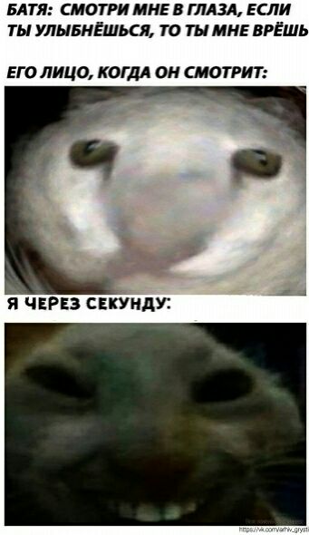 БАТЯ СМОТРИ МНЕ В ГЛАЗА ЕСЛИ ТЫ УЛЫБНЕШЬСЯ ТО ТЫ МНЕ ВРЕШЬ ЕГО ЛИЦО КОГДА ОН СМОТРИТ