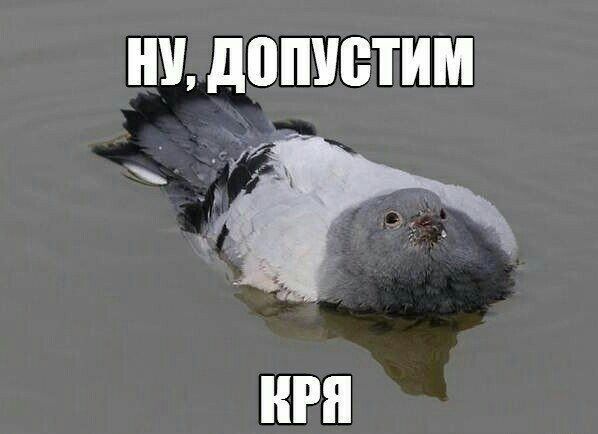 Ш ЦВШЮТИМ а