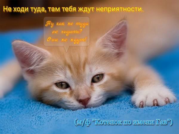 Не ходи туды там _