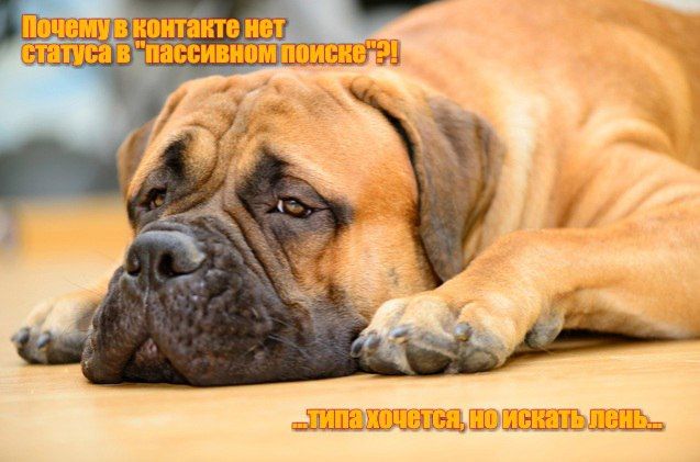 111 ПШЛЩШЬ ШШЕ ШЛЪЬ