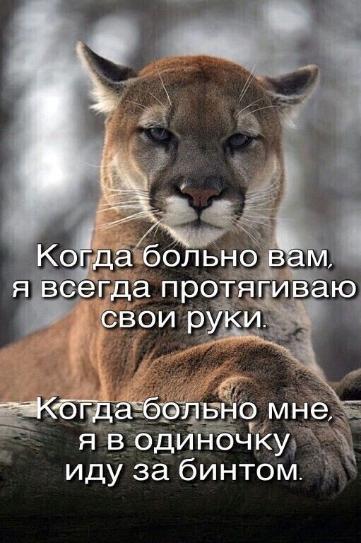 иду за бинтом