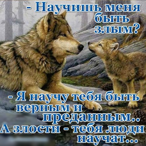 РШШГЬ ъВеРНЫ ПШШ Азвшоещ штаба 2