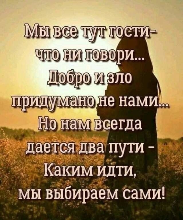вігоет дмг 1 мы выбираем сами