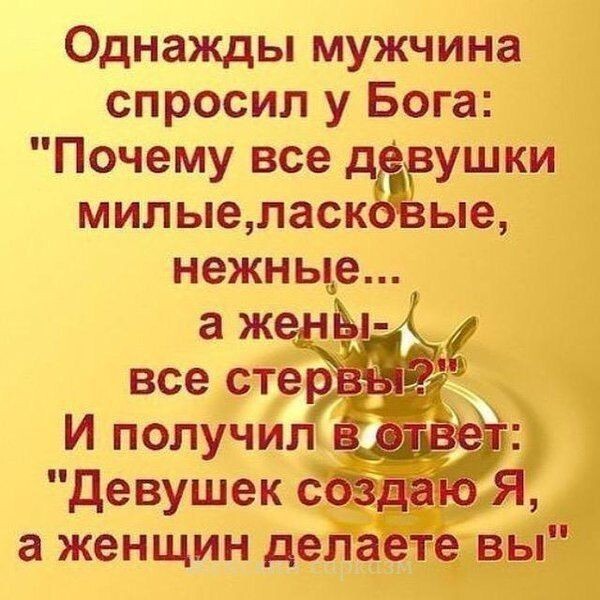 Однажды мужчина спросил у Бога Почему все дрРушки милыеласксзые нежные а женщин делаете вы