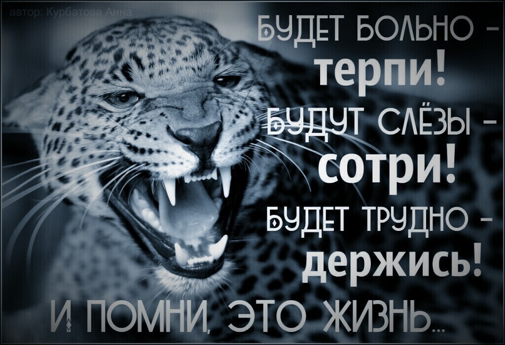 _ _ ьчдвт трчдно держись ЭТО ЖИЗНЬ