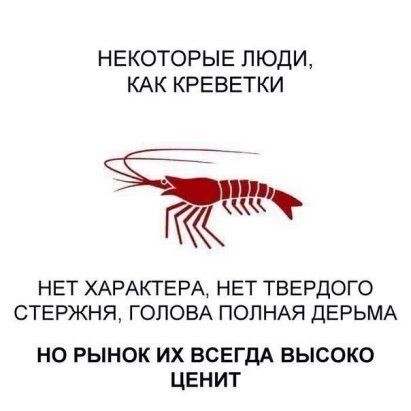 НЕКОТОРЫЕ ЛЮДИ КАК КРЕВЕТКИ КК НЕТ ХАРАКТЕРА НЕТ ТВЕРДОГО СТЕРЖНЯ ГОЛОВА ПОЛНАЯ ДЕРЬМА НО РЫНОК ИХ ВСЕГДА ВЫСОКО ЦЕНИТ