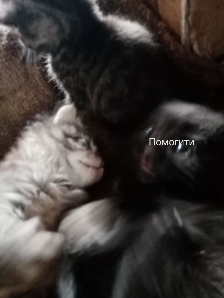 и Т гм о м 0 П