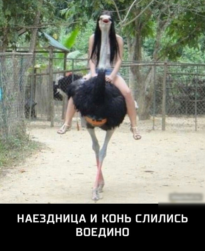 НАЕЗДНИЦА И КОНЬ СЛИЛИСЬ ВПЕДИНО