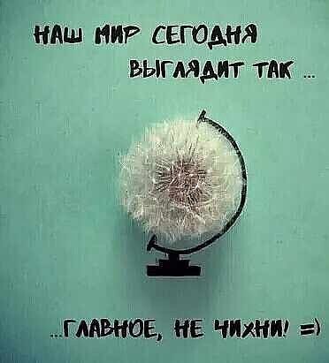 ндш нп сегодня выглядит так ГМЫЮЕ нЕ чини