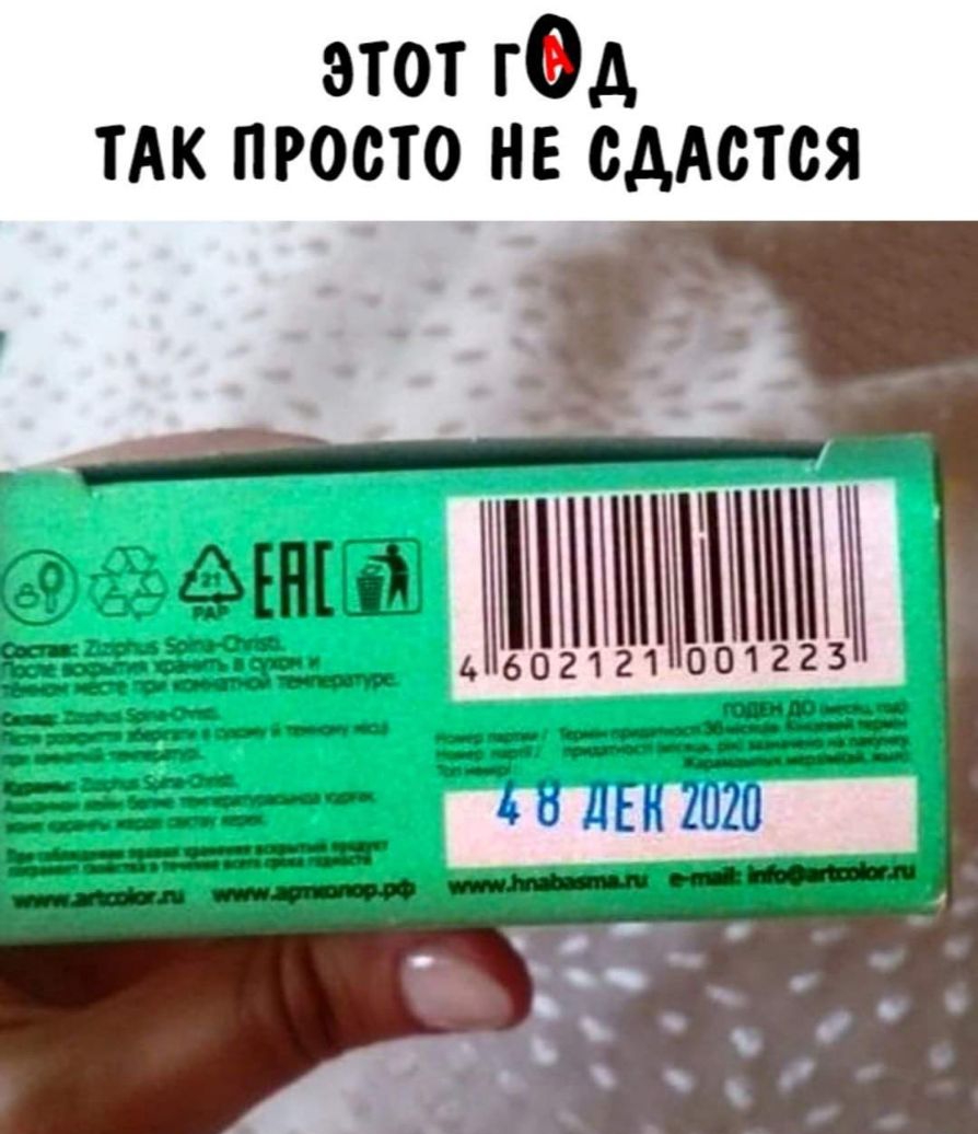 этот гОд ТАК просто не сдАстся