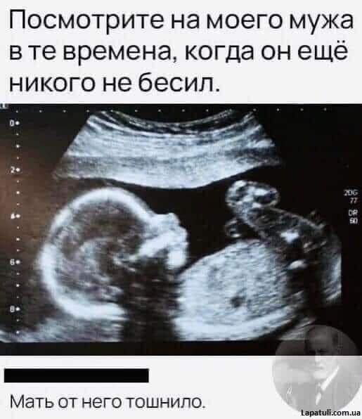 Посмотрите на моего мужа в те времена когда он ещё никого не бесип МЭТЬ ОТ НЕГО ТОШНИПО врдшблппша