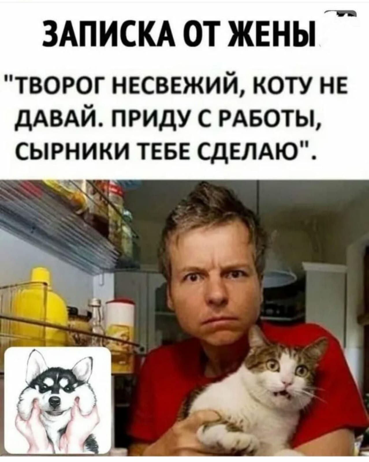 ЗАПИСКА ОТ ЖЕНЫ творог нвсввжий коту не дАВАЙ приду с РАБОТЫ сырники ТЕБЕ СдЕЛАЮ