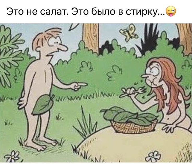 Это не салат Это было в стиркуу