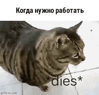 ип ужип ранить