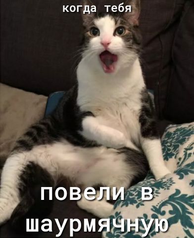 когда тебя
