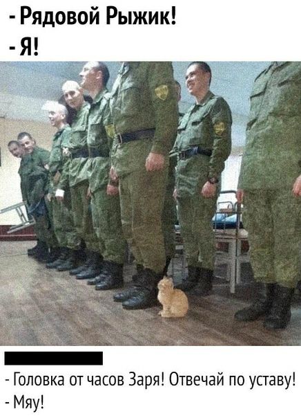 Рядовой Рыжик Головка от часов Заря Отвечай по упаву Мяу