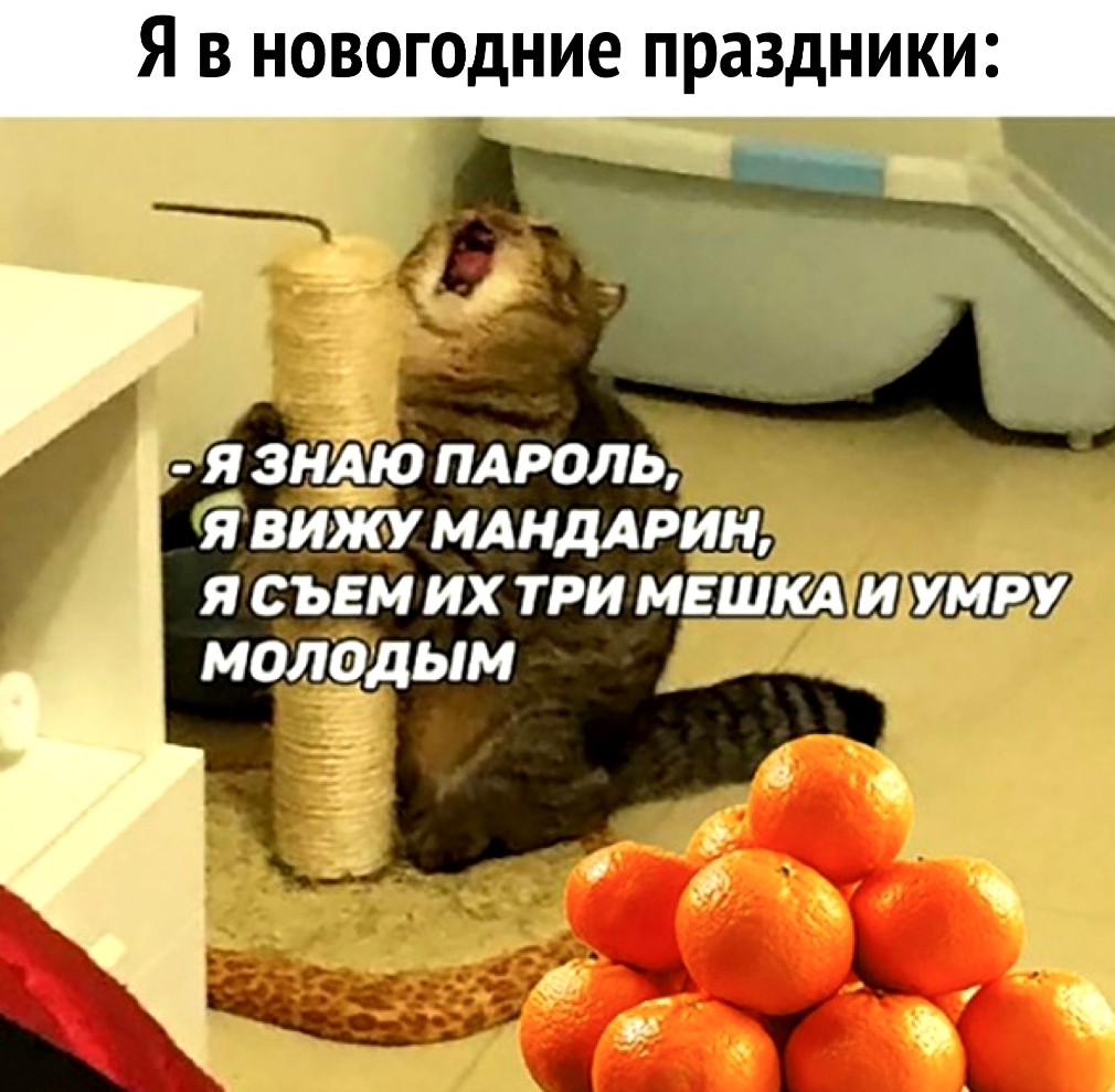 Я в новогодние праздники ___ _ зндю ПАРОЛЬ вижу МА ндмтн я съвм их три мешкшитшду молодым