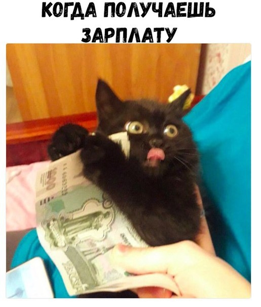 КОГ АА ПОАУЧАЕШЬ ЗАРПЛАТУ