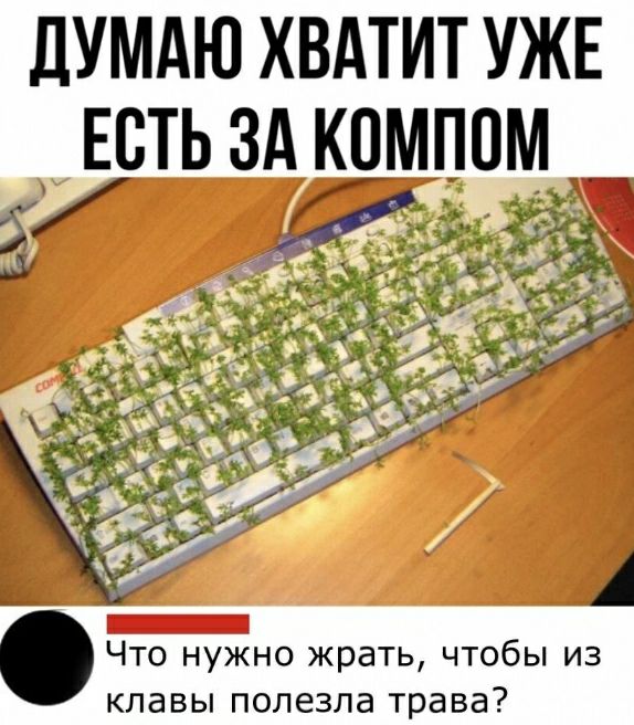 ДУМАЮ ХВАТИТ УЖЕ ЕСТЬ ЗА КОМПОМ _ Что нужно жрать чтобы из клавы полезла трава
